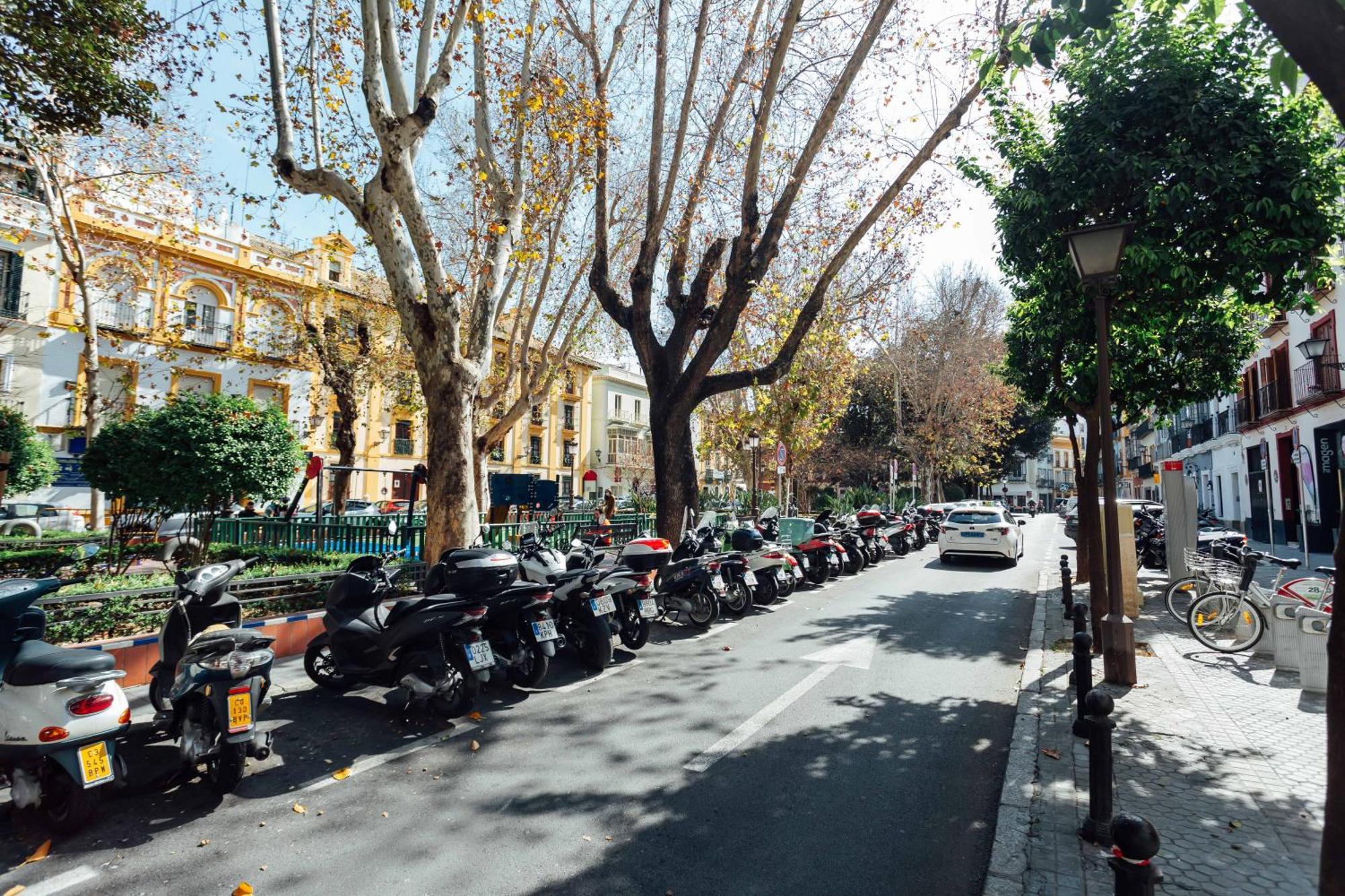 Appartement Luxury And Cozy- 1bd 1bth- Setas Sevilla